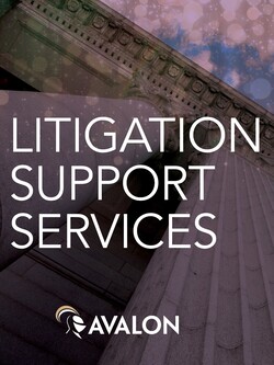 Avalon Litigation Support Services Brochure cover
