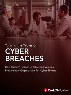 Turning the Tables on Cyber Breaches 250