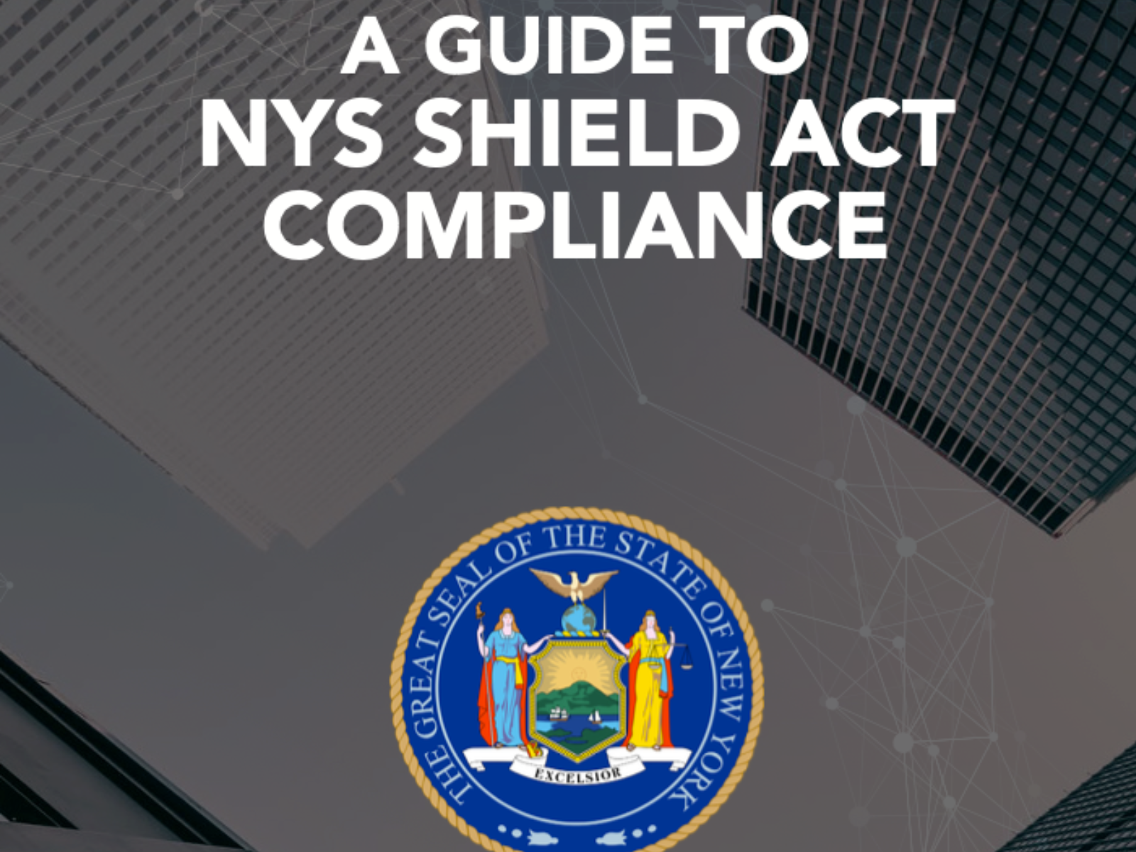 nys shield case study-1