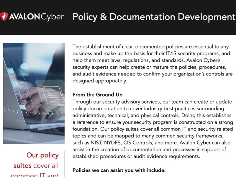 policy development
